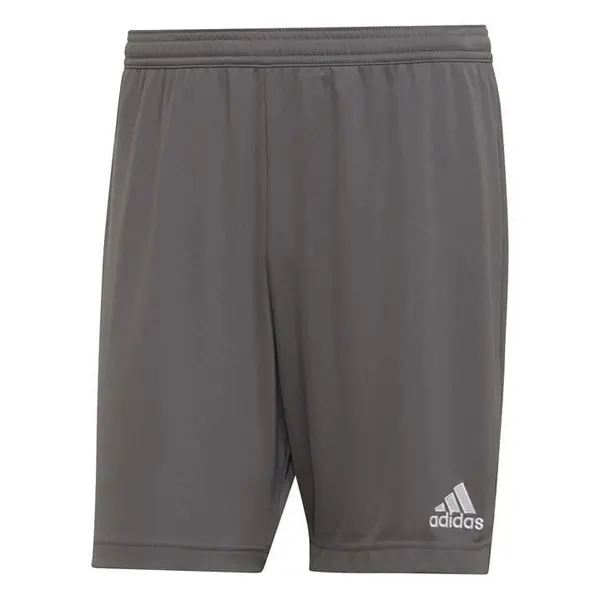 Image of adidas Entrada 22 Shorts Mens - Grey S