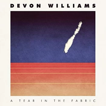 Image of Devon Williams - A Tear in the Fabric CD