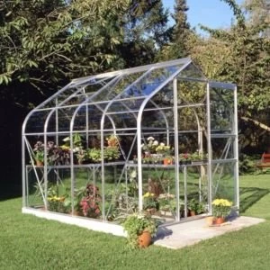 Image of BQ Metal 6x8 Toughened safety glass greenhouse