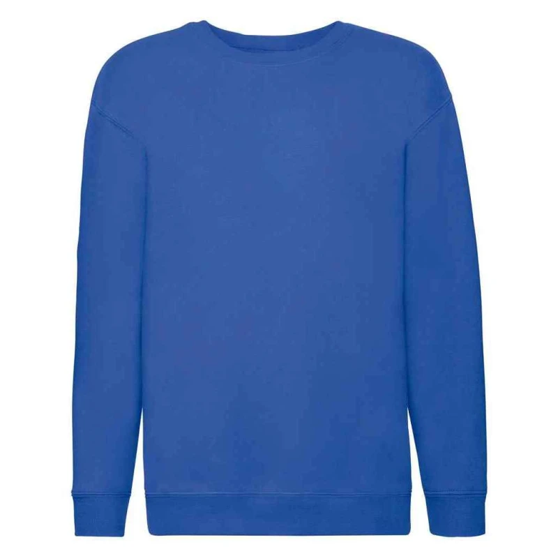 Image of Fruit Of The Loom Premium boys's Children's sweater in Blue