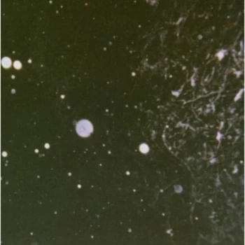 Image of Azrael - Into Shadows Act Ii: Through Horned Shadows Glimpse CD