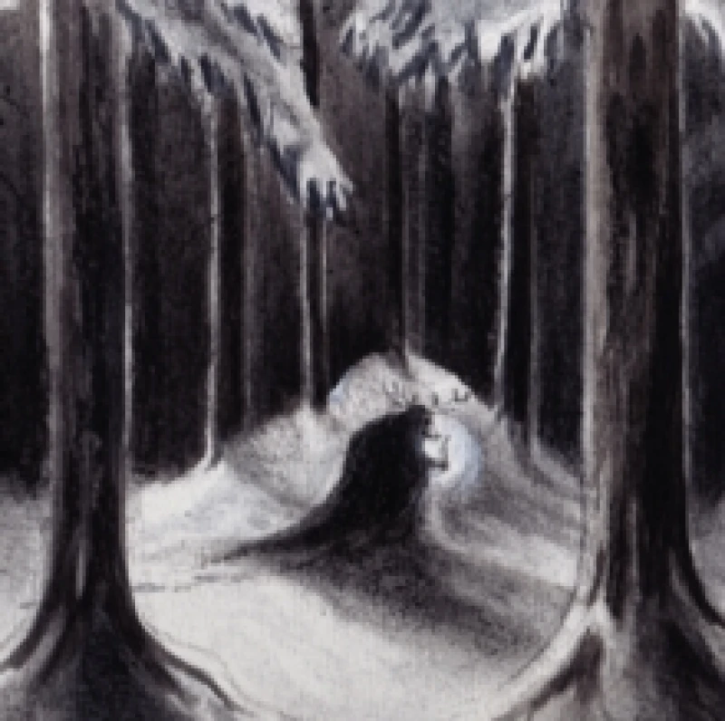 Image of Havulinnaan CD / Album Digipak