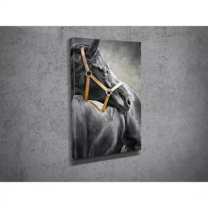Image of DC024 Multicolor Decorative Canvas Painting