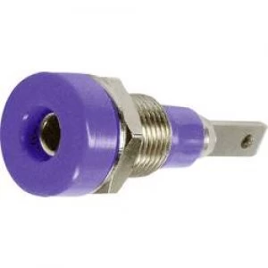 Image of Jack socket Socket vertical vertical Pin diameter 2mm Violet