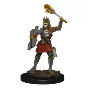 Image of D&amp;D Icons of the Realms Premium Miniature pre-painted Human Cleric Female Case (6)