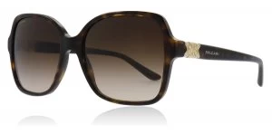 Image of Bvlgari BV8164B Sunglasses Tortoise 504/13 56mm