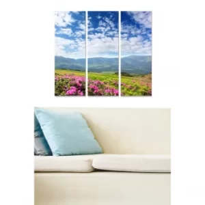 Image of MDF96367202 Multicolor Decorative MDF Painting (3 Pieces)