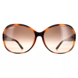 Image of Oval Tortoise Brown Gradient SF770SA