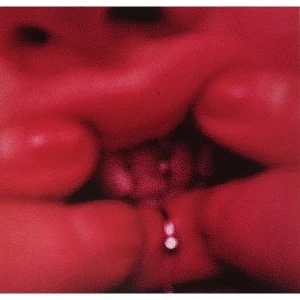 Image of Jessica93 - Guilty Species Vinyl