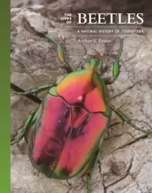 Image of The Lives of Beetles : A Natural History of Coleoptera