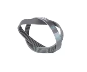 Image of CONTITECH V-ribbed belt 5PK880 Serpentine belt,Auxiliary belt OPEL,RENAULT,PEUGEOT,ZAFIRA B (A05),Zafira A (T98),Vectra C Caravan (Z02)