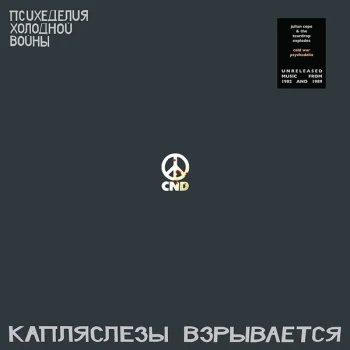 Image of Julian Cope & The Teardrop Explodes - Cold War Psychedelia Vinyl