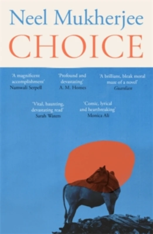 Image of Choice Paperback / softback