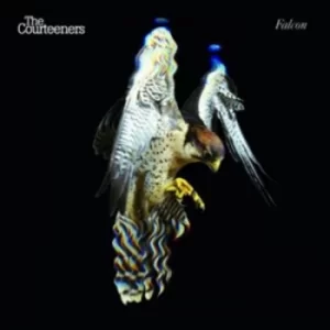 Image of Falcon by The Courteeners CD Album