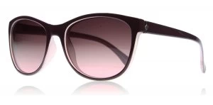 Image of Polaroid P8339B Sunglasses Purple C6T Polariserade 55mm