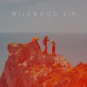 Image of Wildwood Kin - Wildwood Kin Vinyl