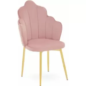 Image of Tian Pink Velvet Dining Chair - Premier Housewares