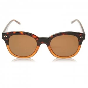 Image of Calvin Klein CK4354 Sunglasses - Havana Brown