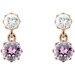 Image of Ted Baker Ladies PVD rose plating Connolee Crystal Crown Short Earrings