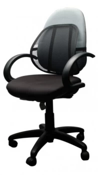 Image of QConnect Black Mesh Back Support