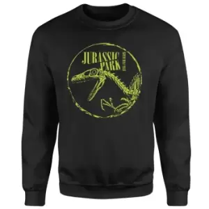 Image of Jurassic Park Skell Sweatshirt - Black - M