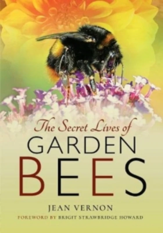 Image of The Secret Lives of Garden Bees Paperback / softback
