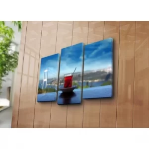 Image of 3PATK-72 Multicolor Decorative Canvas Painting (3 Pieces)