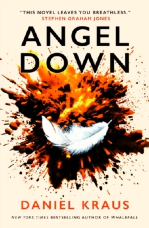 Image of Angel Down Paperback / softback