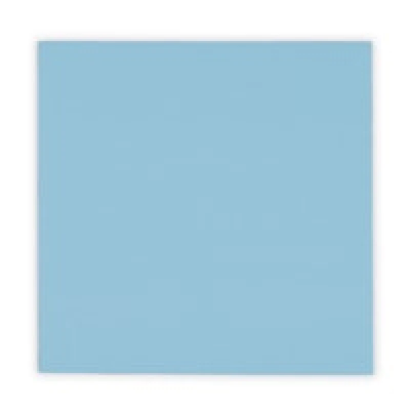 Image of Thermal Griz zly Minus Pad Pro 1 Pack- 100 x 100 x 2.0 mm