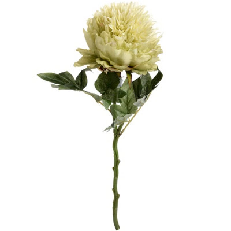Image of Hill Interiors Artificial Short Stem Peony Green (One Size)