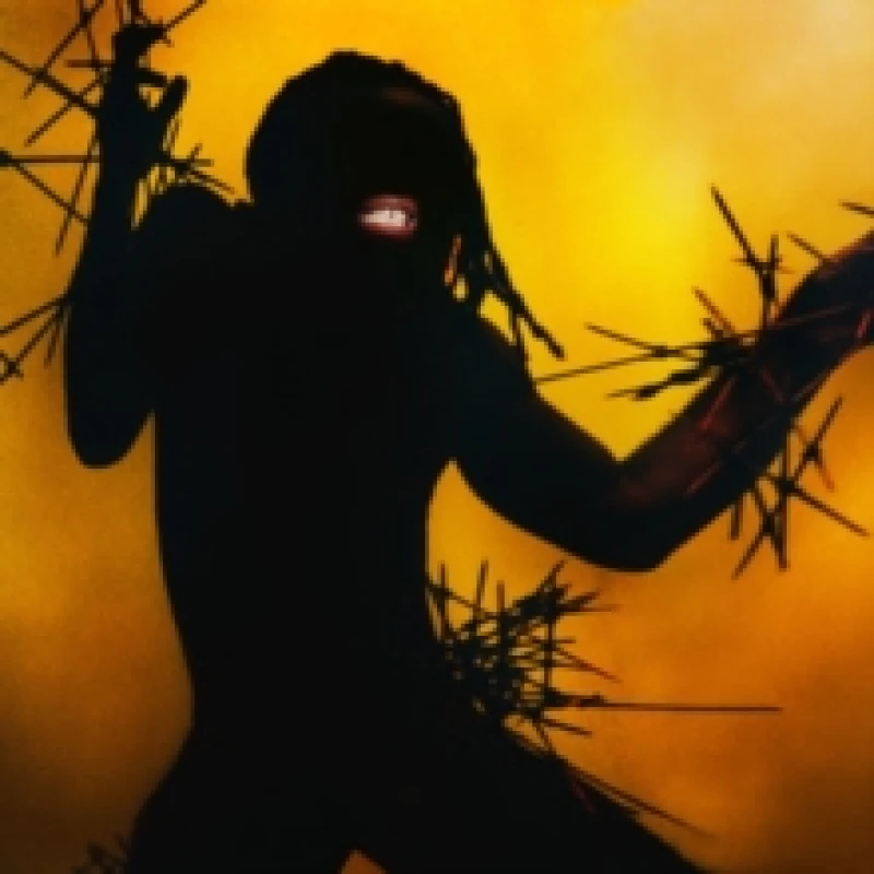 Image of Heavy Heavy Vinyl