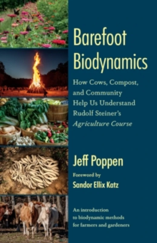 Image of Barefoot Biodynamics : How Cows, Compost, and Community Help Us Understand Rudolf Steiners Agriculture Course Paperback / softback