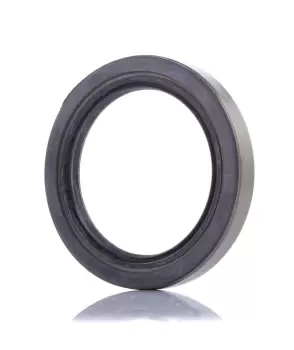 Image of AIC ABS Ring Original AIC Quality 55413 Reluctor Ring,Tone Ring MERCEDES-BENZ,E-Klasse Limousine (W211),E-Klasse T-modell (S211)