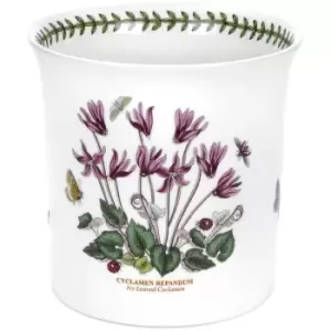 Image of Portmeirion Botanic Garden Orchid Pot