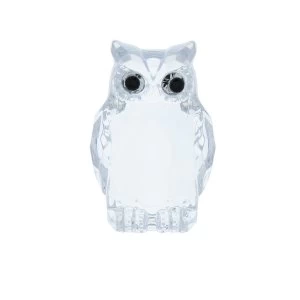 Image of Small Acrylic Owl Two Tone Clear Ornament
