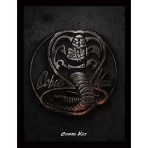 Image of Cobra Kai Framed Picture 16 x 12