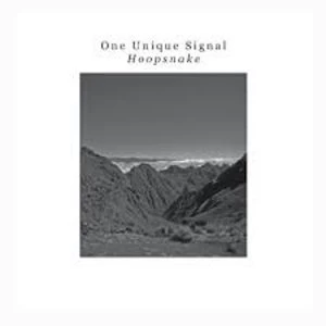 Image of One Unique Signal - Hoopsnake Vinyl