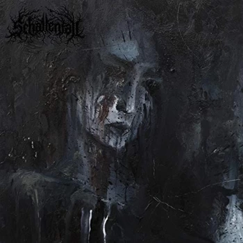 Image of Schattenfall - Schatten in Schwarz Vinyl