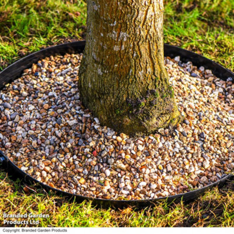 Image of Garden Gear Circular Heavy Duty Metal Border Edging For Bushes, Shrubs & Trees 60Cm Diameter (Black)