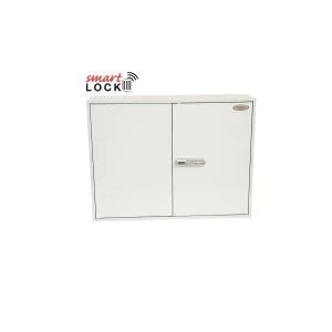 Image of Phoenix Commercial Key Cabinet KC0607N 600 Hook with Net Code