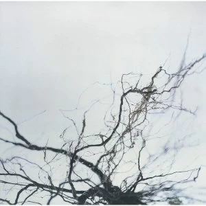 Image of Yutaka Hirose - Nova Plus 4 Vinyl