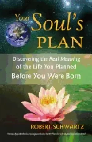 Image of your souls plan discovering the real meaning of the life you planned before