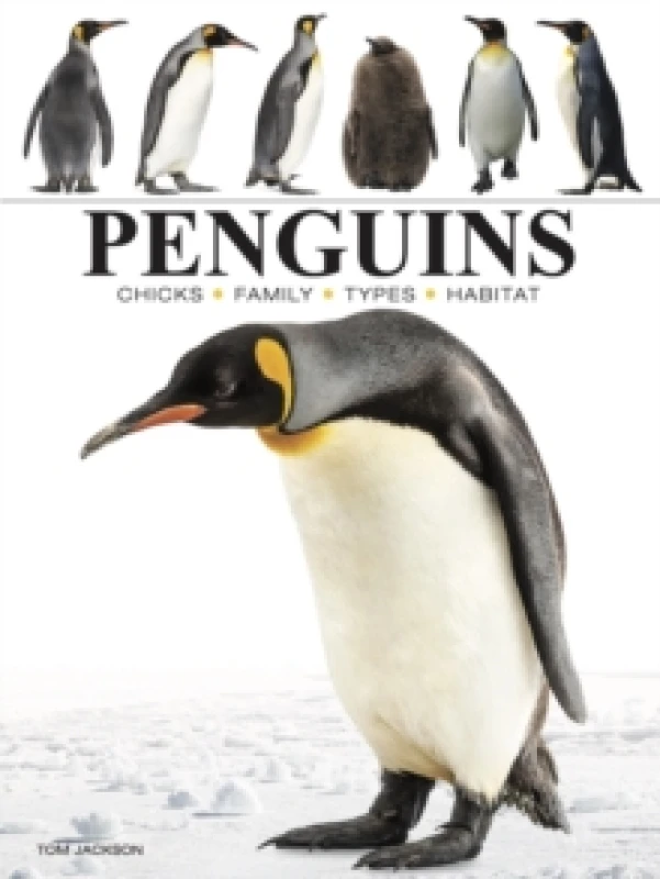 Image of Penguins Paperback / softback