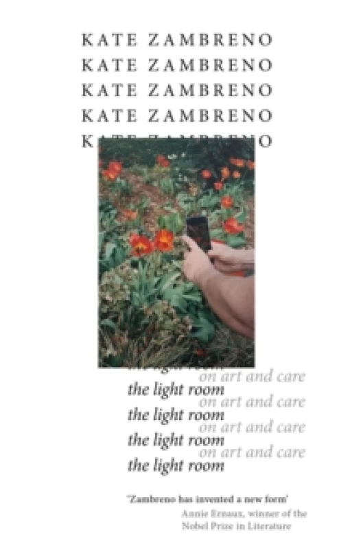 Image of The Light Room Paperback / softback