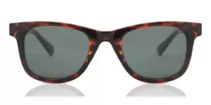 Image of Polaroid Sunglasses PLD 1016/S/NEW 086/UC