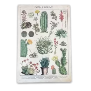 Image of Retro Cacti & Succulents Identification Picture Vintage Metal Sign