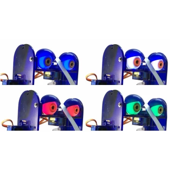 Image of 310 Illuminating Eyes - Ohbot