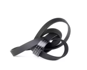 Image of SKF V-ribbed belt AUDI,FIAT,ALFA ROMEO VKMV 6PK1722 55201363,046903137M,K04627095AA