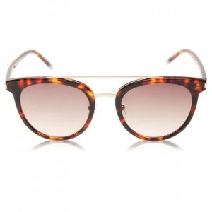 Image of Calvin Klein CK4352 Sunglasses - Burnt Havana