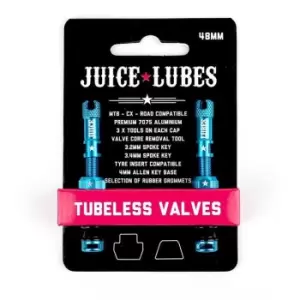 Image of Juice Lubes Tubeless Valves, 48mm, Teal - Green